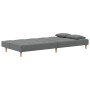 Zweiplätziges Schlafsofa mit zwei dunkelgrauen Kissen. von , Sofas - Ref: Foro24-375793, Preis: 254,69 €, Rabatt: %