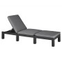 Keter Daytona graphite-colored sun lounger with cushion by , Loungers - Ref: Foro24-441306, Price: 147,55 €, Discount: %