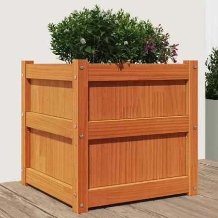 Pflanzgefäß aus massivem Kiefernholz für den Außenbereich wachsbraun 50x50x50 cm von , Töpfe und Pflanzgefäße - Ref: Foro24-8...