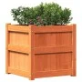 Jardinera exterior madera maciza pino marrón cera 50x50x50 cm de , Maceteros y jardineras - Ref: Foro24-837418, Precio: 60,98...