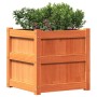 Outdoor planter made of solid pine wood, brown wax finish, 50x50x50 cm. by , Pots and planters - Ref: Foro24-837418, Price: 6...
