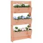 Wall planter 3 levels solid wood Douglas 60x18.5x110 cm by , Pots and planters - Ref: Foro24-825119, Price: 73,43 €, Discount: %