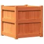 Outdoor planters 2 pcs solid wax brown pine wood by , Pots and planters - Ref: Foro24-837419, Price: 100,59 €, Discount: %
