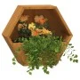 Jardineras de pared 2 uds acero corten oxidado 30x10x25 cm de , Maceteros y jardineras - Ref: Foro24-823684, Precio: 34,47 €,...
