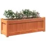 Jardineras de exterior 2 uds madera maciza de pino marrón cera de , Maceteros y jardineras - Ref: Foro24-837454, Precio: 100,...
