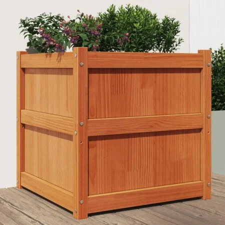 Jardinera exterior madera maciza pino marrón cera 60x60x60 cm de , Maceteros y jardineras - Ref: Foro24-837428, Precio: 95,05...