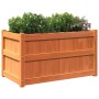 Jardinera exterior madera maciza pino marrón cera 90x50x50 cm de , Maceteros y jardineras - Ref: Foro24-837463, Precio: 83,51...