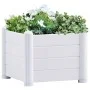 White PP garden bed 43x43x35 cm by , Pots and planters - Ref: Foro24-313971, Price: 76,54 €, Discount: %