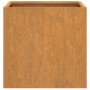 Pflanzgefäße 2 Einheiten Cortenstahl 42x40x39 cm von , Töpfe und Pflanzgefäße - Ref: Foro24-821550, Preis: 82,13 €, Rabatt: %