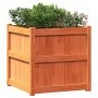 Jardineras de exterior 2 uds madera maciza de pino marrón cera by , Pots and planters - Ref: Foro24-837429, Price: 129,36 €, ...