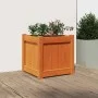 Jardinera exterior madera maciza pino marrón cera 40x40x40 cm de , Maceteros y jardineras - Ref: Foro24-837408, Precio: 50,09...