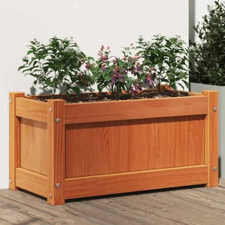 Jardinera exterior madera maciza pino marrón cera 60x31x31 cm de , Maceteros y jardineras - Ref: Foro24-837443, Precio: 40,46...