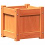 Jardinera exterior madera maciza pino marrón cera 31x31x31 cm de , Maceteros y jardineras - Ref: Foro24-837398, Precio: 28,12 €