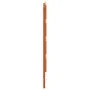 Cabecero de cama madera maciza de pino marrón cera 180 cm de , Cabeceros y pies de cama - Ref: Foro24-844448, Precio: 49,74 €...