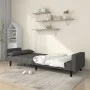 Zweiplätziges Schlafsofa mit zwei dunkelgrauen Kissen. von , Sofas - Ref: Foro24-375834, Preis: 275,47 €, Rabatt: %