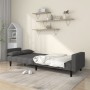 Zweiplätziges Schlafsofa mit zwei dunkelgrauen Kissen. von , Sofas - Ref: Foro24-375834, Preis: 283,18 €, Rabatt: %