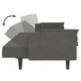 Zweiplätziges Schlafsofa mit zwei dunkelgrauen Kissen. von , Sofas - Ref: Foro24-375834, Preis: 275,47 €, Rabatt: %