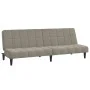 Sofá cama de 2 plazas terciopelo gris claro by , Sofas - Ref: Foro24-375841, Price: 239,18 €, Discount: %