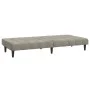 Sofá cama de 2 plazas terciopelo gris claro by , Sofas - Ref: Foro24-375841, Price: 239,18 €, Discount: %