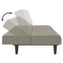 Sofá cama de 2 plazas terciopelo gris claro by , Sofas - Ref: Foro24-375841, Price: 239,18 €, Discount: %