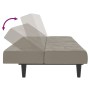 Sofá cama de 2 plazas terciopelo gris claro by , Sofas - Ref: Foro24-375841, Price: 236,66 €, Discount: %