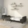 Zweiplätziges Schlafsofa mit zwei dunkelgrauen Samtkissen. von , Sofas - Ref: Foro24-375848, Preis: 278,91 €, Rabatt: %