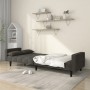 Zweiplätziges Schlafsofa mit zwei dunkelgrauen Samtkissen. von , Sofas - Ref: Foro24-375848, Preis: 285,38 €, Rabatt: %