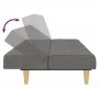 Light gray 2-seater sofa bed by , Sofas - Ref: Foro24-375826, Price: 255,58 €, Discount: %