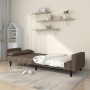 Two-seater sofa bed with two taupe gray fabric pillows. by , Sofas - Ref: Foro24-375839, Price: 283,18 €, Discount: %