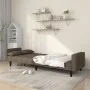 Two-seater sofa bed with two taupe gray fabric pillows. by , Sofas - Ref: Foro24-375839, Price: 278,26 €, Discount: %