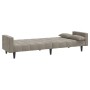 2-Sitzer-Schlafsofa mit zwei hellgrauen Samtkissen von , Sofas - Ref: Foro24-375847, Preis: 285,39 €, Rabatt: %