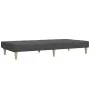 Dark gray 2-seater sofa bed by , Sofas - Ref: Foro24-375866, Price: 245,00 €, Discount: %
