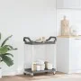 2-level gray aluminum cart 81x41x92 cm by , Kitchen and dining carts - Ref: Foro24-30327, Price: 49,76 €, Discount: %
