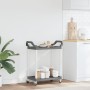 Carrito de 2 niveles aluminio gris 81x41x92 cm de , Carros de cocina y comedor - Ref: Foro24-30327, Precio: 47,32 €, Descuent...