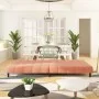 Sofá cama de 2 plazas terciopelo rosa de , Sofás - Ref: Foro24-375767, Precio: 241,41 €, Descuento: %