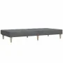 2-Sitzer-Schlafsofa aus hellgrauem Stoff von , Sofas - Ref: Foro24-375865, Preis: 238,89 €, Rabatt: %
