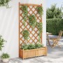 Planter with solid brown spruce wood trellis by , Pots and planters - Ref: Foro24-365491, Price: 157,00 €, Discount: %