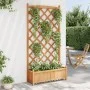 Planter with solid brown spruce wood trellis by , Pots and planters - Ref: Foro24-365491, Price: 160,77 €, Discount: %