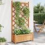 Blumenkasten mit massivem Gitter aus braunem Fichtenholz. von , Töpfe und Pflanzgefäße - Ref: Foro24-365488, Preis: 91,20 €, ...
