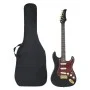Einsteiger E-Gitarre mit Koffer schwarz gold 4/4 39" von , Gitarren - Ref: Foro24-70194, Preis: 150,86 €, Rabatt: %