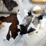 Genuine black and white cowhide rug 180x220 cm by , Rugs - Ref: Foro24-376702, Price: 232,53 €, Discount: %