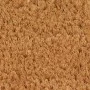 Halbrunde Fußmatte aus natürlicher Kokosfaser, 60 x 90 cm von , Fußmatten - Ref: Foro24-155564, Preis: 51,63 €, Rabatt: %