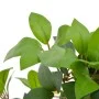 Artificial plant laurel tree with pot 120 cm green by , artificial flora - Ref: Foro24-280179, Price: 89,72 €, Discount: %