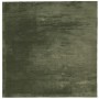 Kurzfloriger, weicher, waschbarer Teppich HUARTE in Waldgrün, 160x160 cm. von , Teppiche - Ref: Foro24-375097, Preis: 101,59 ...