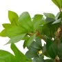 Artificial plant laurel tree with pot 120 cm green by , artificial flora - Ref: Foro24-280180, Price: 85,23 €, Discount: %