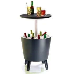 Keter Anthrazitgrauer Barkühlschrank 192710 von , Kühlschränke - Ref: Foro24-404258, Preis: 118,73 €, Rabatt: %