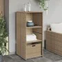 Garten-Aufbewahrungsschrank aus beigem PE-Rattan 50x55x115 cm von , Aufbewahrungsboxen für den Außenbereich - Ref: Foro24-365...