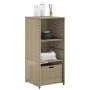 Garten-Aufbewahrungsschrank aus beigem PE-Rattan 50x55x115 cm von , Aufbewahrungsboxen für den Außenbereich - Ref: Foro24-365...