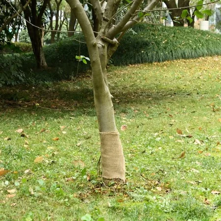 Rollo de yute 0,25x25 m 100% yute 200 gsm de , Decoración - Ref: Foro24-155792, Precio: 23,41 €, Descuento: %