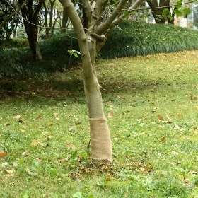 Jute-Rolle 0,25x5 m 100% Jute 200 g/m² von , Dekor - Ref: Foro24-155789, Preis: 11,56 €, Rabatt: %